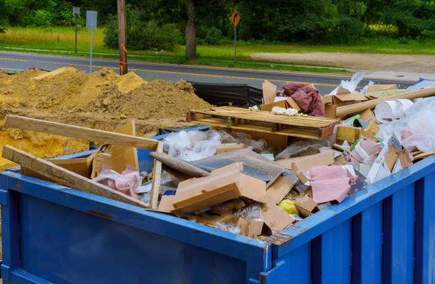 Best Shed Removal  in New Smyrna Beach, FL